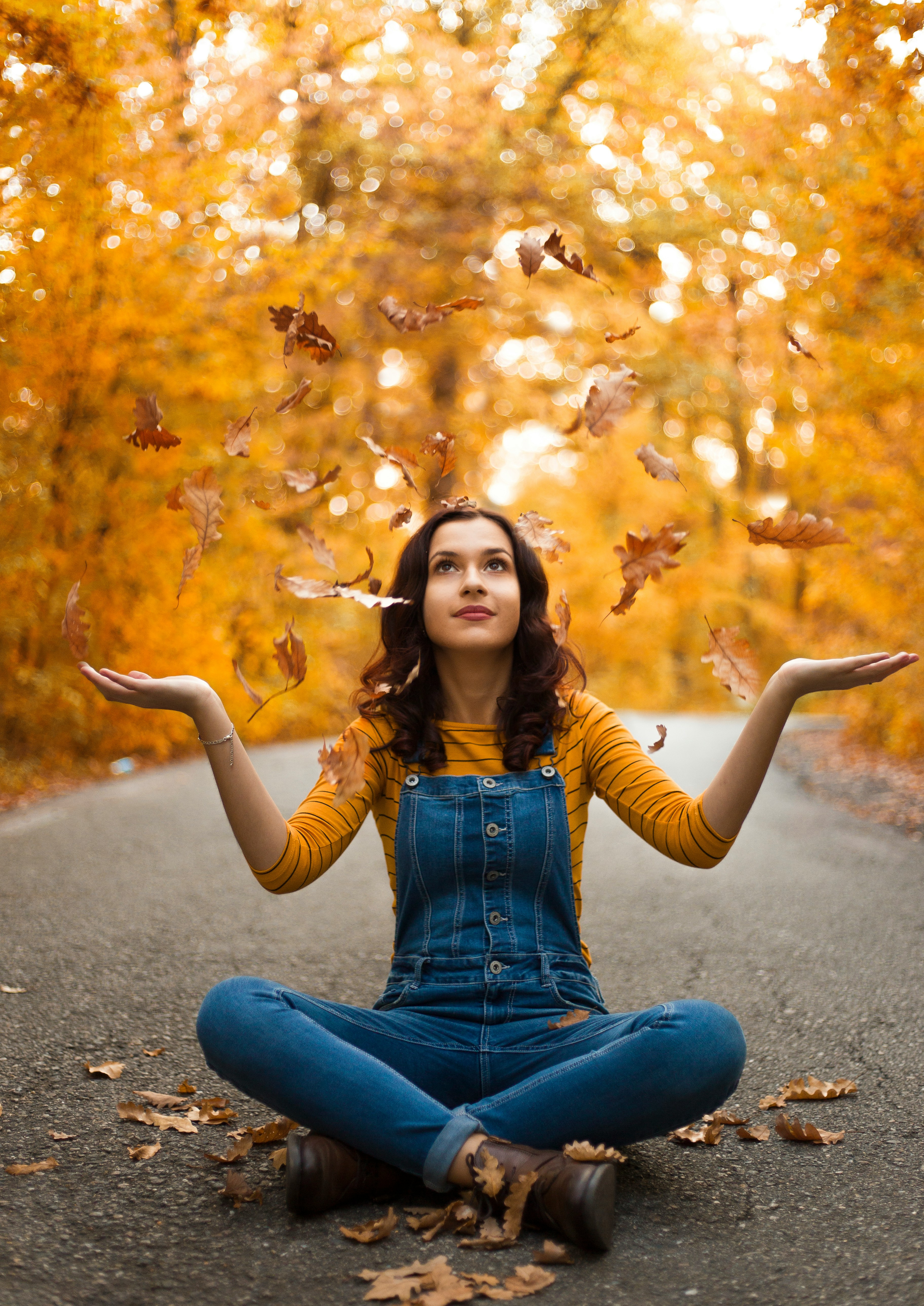 高评分封面图：中文字幕视频网推荐